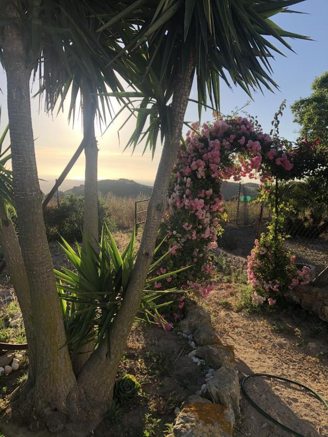 Las Ninas Vejer de la Frontera Kültér fotó